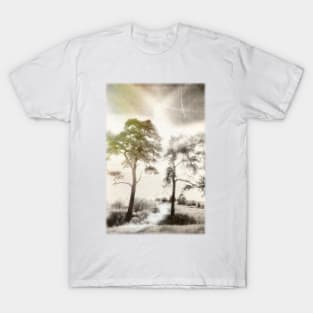 Peace before the Storm T-Shirt